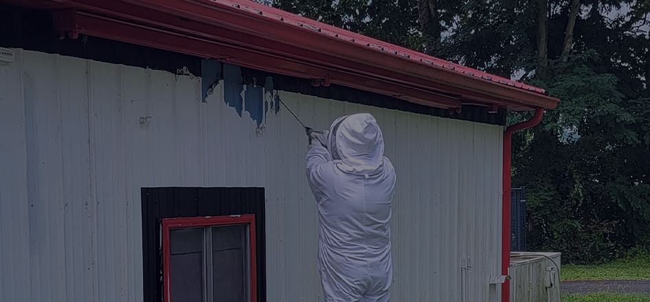 Residential Pest Control